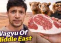 I Ate Qatar’s “Wagyu” Camel Bred for Royalty!!