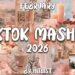 TikTok Mashup Febuary 2026💖💖
