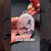 World’s Hardest Painting Art Is Amazing😍 #shortsfeed #shorts #art #painting #artist #facts #viral
