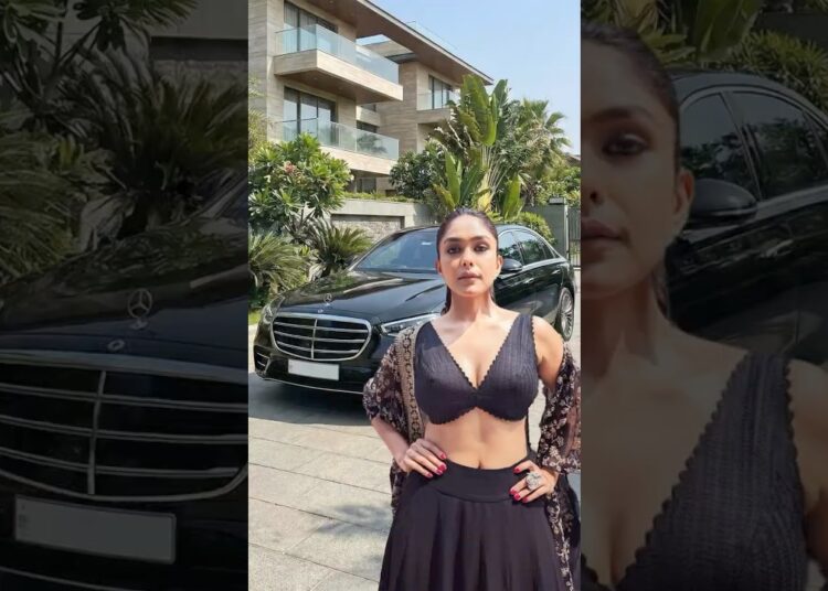 5 Expensive Things Owned By Mrunal Thakur #mrunalthakur #celebrity #shorts