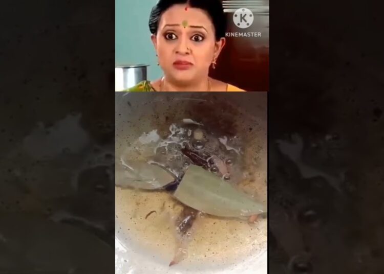 rashi ne khayi urmila ki bnayi matar pulao#shortsfeed #celebrity #celebrityfoodcontent #matarpulao