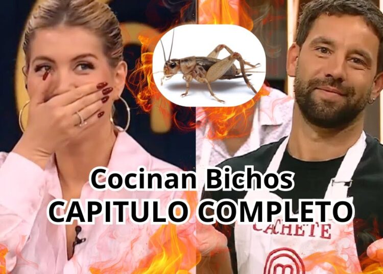 En VIVO MasterChef Celebrity Argentina 2026