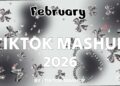 TikTok Mashup february 🩶2026🩶 (Not Clean
