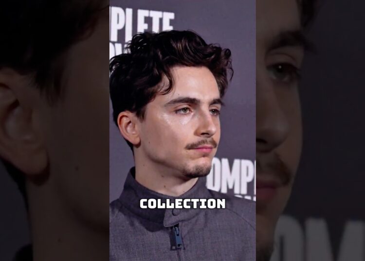 Zendaya vs Timothée Who Owns The More Expensive Car Collection #zendaya #celebrity #shorts