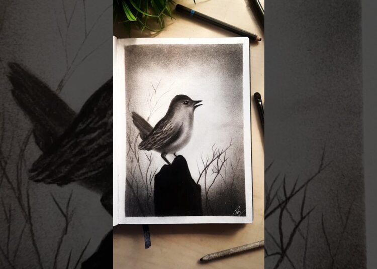 Realistic Bird Drawing with Charcoal #shorts #bird #easyart #realistic #art #trending #subscribe