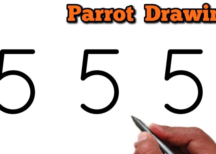 How to Draw Beautiful Parrot With 5 Number | Parrot Art Tutorial