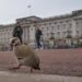 From abdication to Diana, Harry and ex-Prince Andrew. A look at major British royal scandals – The Mercury News