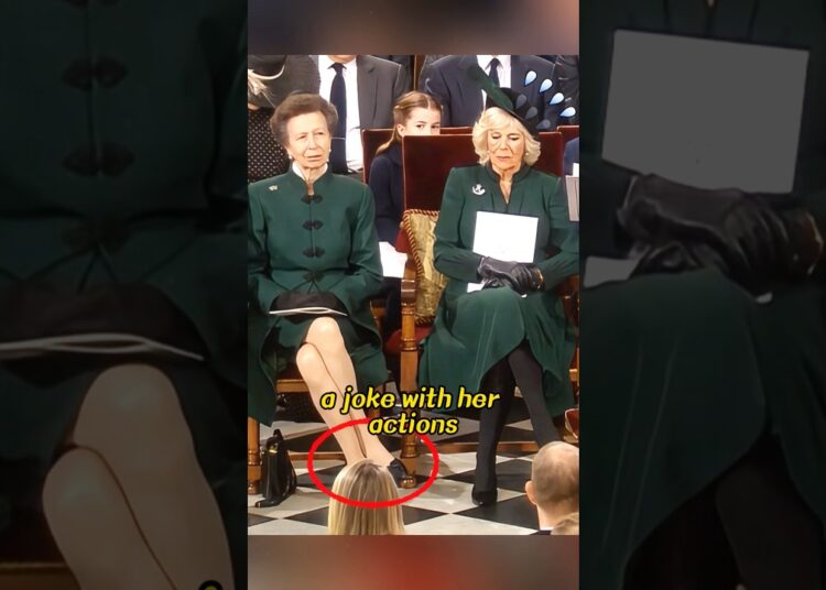 Anne embarrassed Camilla with one action #shortsvideo #shorts #youtubeshorts #celebrity #royal