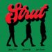 Strut