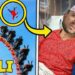 Ali fell off the roller coaster, then..(The Royalty Family)