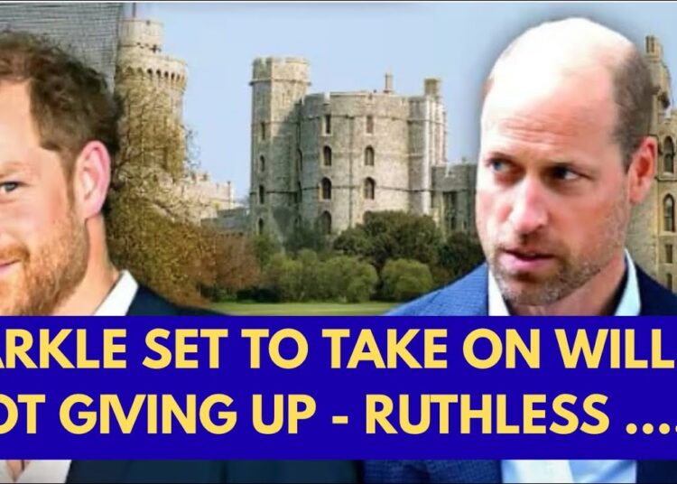 MEGHAN IS READY FOR BATTLE WITH WILLIAM – JUST WHAT HE NEEDS #royal #meghan #princeharry