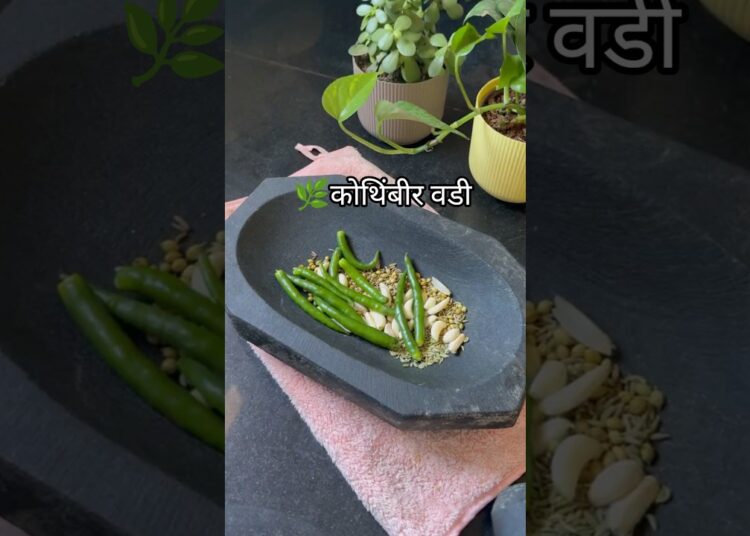 🌿 कोथिंबीर वडी#indianfood #celebrity#1million recipe#podcast#Rajasthan#Tejaswini Prakash#Kamiya jani