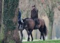 The former prince has reportedly been warned to avoid horseriding