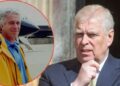 More light has been shed on Andrew Windsor's connection to Jeffrey Epstein.MEGA