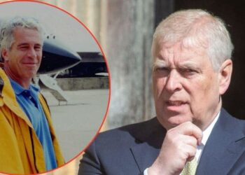 More light has been shed on Andrew Windsor's connection to Jeffrey Epstein.MEGA