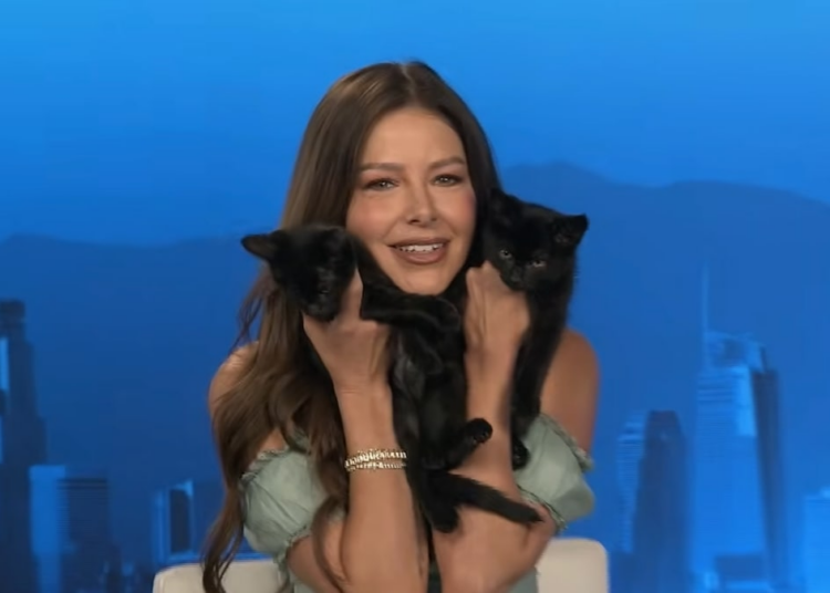 Ariana Madix on New Look, ‘Love Island USA’ & Her Purrfect Valentines! (Exclusive)