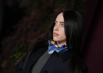 Billie Eilish Asks 'Fellow Celebrities' to 'Speak Up' About ICE