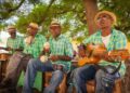 Four musicians in straw hats and matching green plaid shirts play instruments under a tree. One plays maracas, one a guitar, and the other two use percussion instruments.