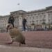 British Royal Family Faces Crisis as Former Prince Andrew Arrested