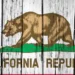 California Child Abuse and Neglect Reporting Act Mandated Reporters