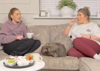 Two individuals are seated on a couch, engaged in a conversation. In the foreground, a cat rests on the couch, and a table nearby is adorned with various food items. The setting features a window with a potted plant in the background.