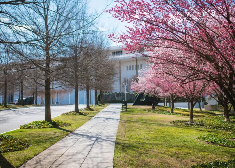 Chaos in Washington, layoffs in New York, and music everywhere | Arts and Life
