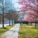 Chaos in Washington, layoffs in New York, and music everywhere | Arts and Life
