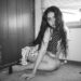 Charli xcx, MUNA, Bleachers & More