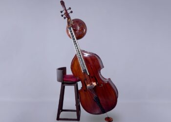 Gajveena at Guthman Musical Instrument Competition