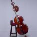 Gajveena at Guthman Musical Instrument Competition