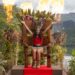 Concetta Caristo has been voted winner of I’m a Celebrity ... Get Me Out of Here!