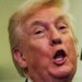 Critics Mock Trump's Super-Triggered Meltdown Over Bad Bunny