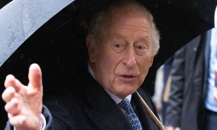 King Charles has found a shoulder to lean on as he fights cancer.MEGA