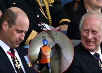 Charles secured permission for a huge manure lagoon near William’s country home.MEGA