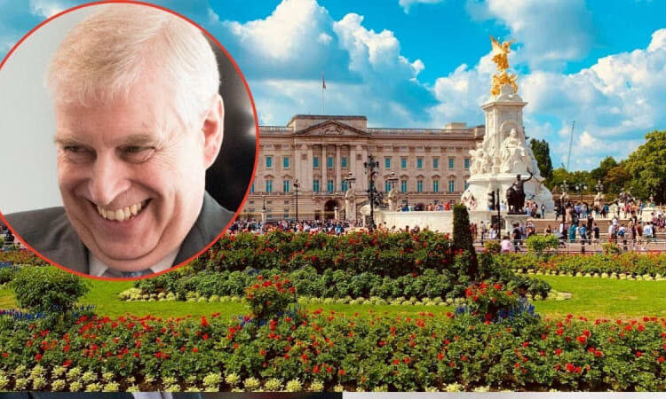 Royal staff have no interest in working for Andrew Windsor.MEGA; UNSPLASH