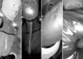 Nancy Guthrie Suspect Nest Camera FBI First 4 Photos