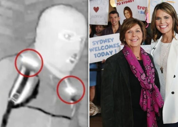 FBI releases new crucial information about Nancy Guthrie suspect - Celebrity News - Entertainment