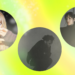 February 2026 playlist: The best new music from the last month