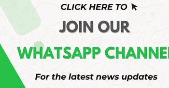 Whatsapp Channel