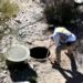 Fox halt coverage for Nancy Guthrie news as septic tank searched - Celebrity News - Entertainment