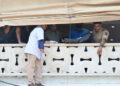 From Salman Khan to Rohit Shetty: Celebs in shooting cases