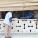 From Salman Khan to Rohit Shetty: Celebs in shooting cases
