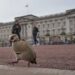 From abdication to Diana, Harry and ex-Prince Andrew. A look at major British royal scandals