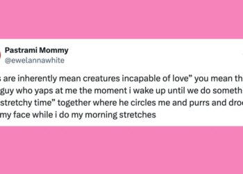 Funniest Posts About Cats And Dogs This Week (Feb. 14-20)
