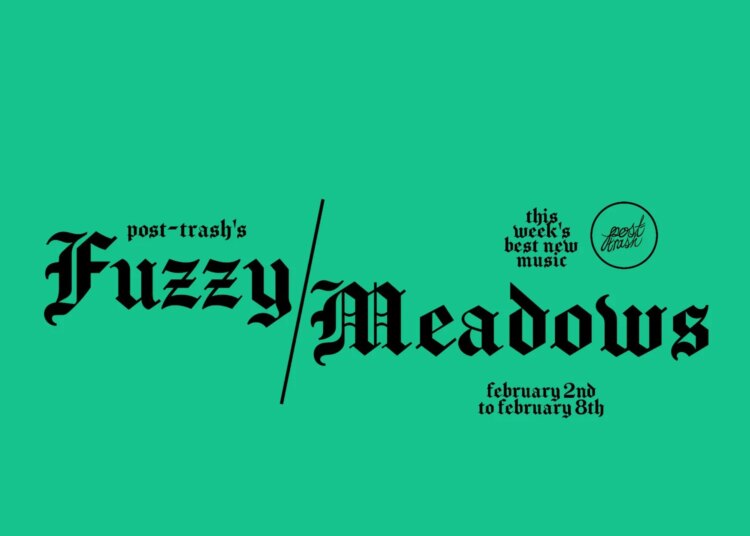 Fuzzy Meadows: The Week's Best New Music (February 2nd