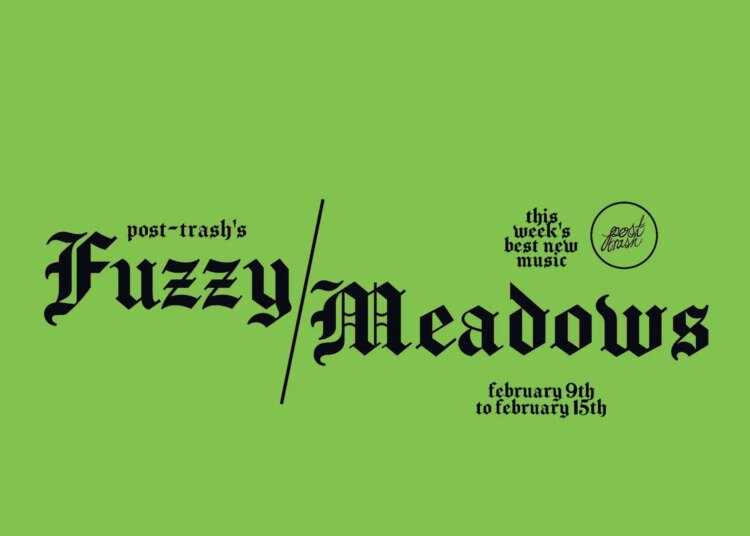 Fuzzy Meadows: The Week's Best New Music (February 9th