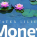 GMALL: Water Lilies by Monet: The Magic of Water and Light | Entertainment
