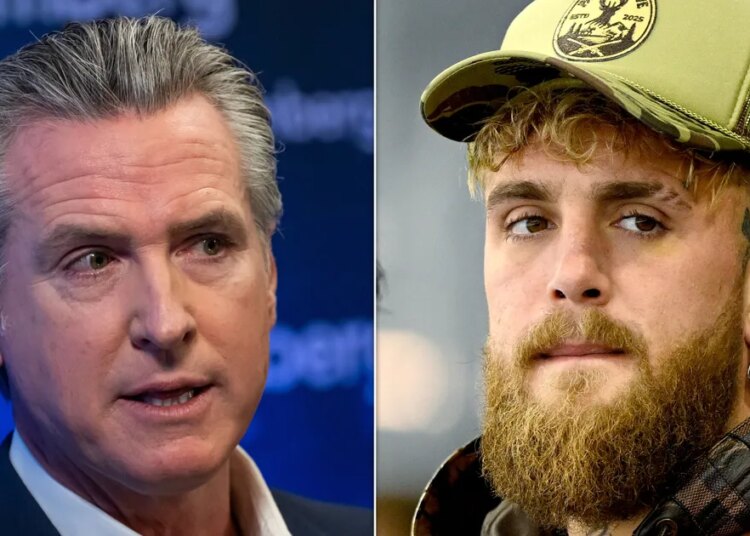 Gavin Newsom Slams Trump Loving Boxer As Snowflake
