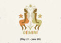 Gemini Horoscope Today, February 22, 2026:  Career and education see routine tasks and helpful collaborations