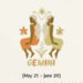 Gemini Horoscope Today, February 22, 2026:  Career and education see routine tasks and helpful collaborations
